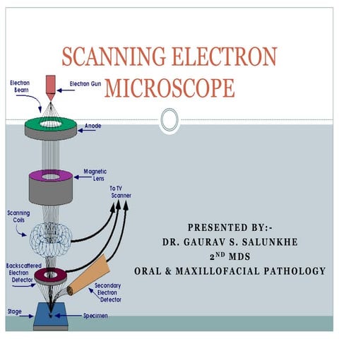 Scanning electon microscope. Dr. GAURAV SALUNKHE