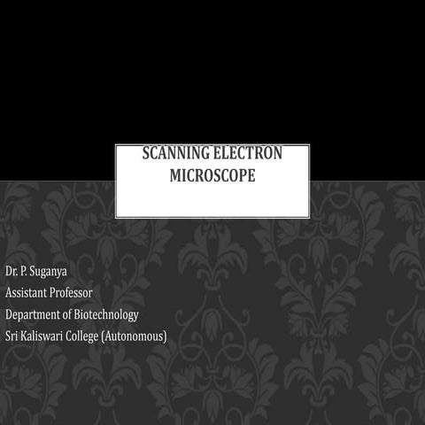 Scanning electron microscope