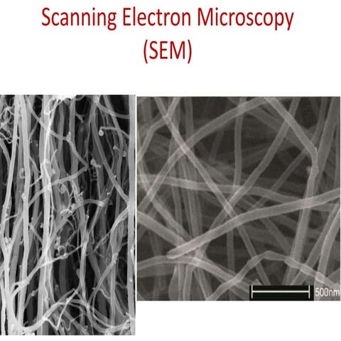Scanning Electron Microscopy (SEM 2013).pptx