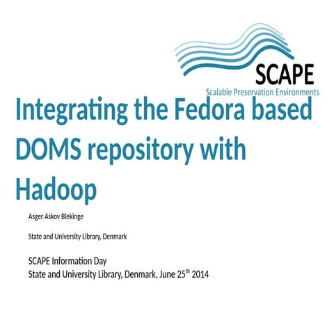 Integrating the Fedora based DOMS repository with Hadoop, SCAPE Information D...