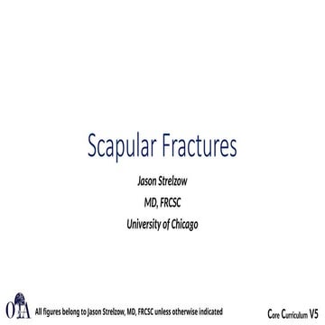 Scapular FracturesDJKLKLKLAJJFJJJJJJJJJJ