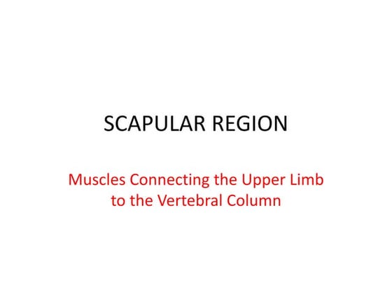 Deltoid muscle, origin insertion and movement | PPT