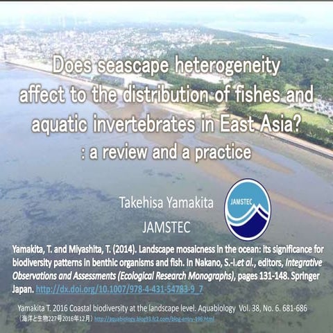 Landscape mosaicness in the ocean