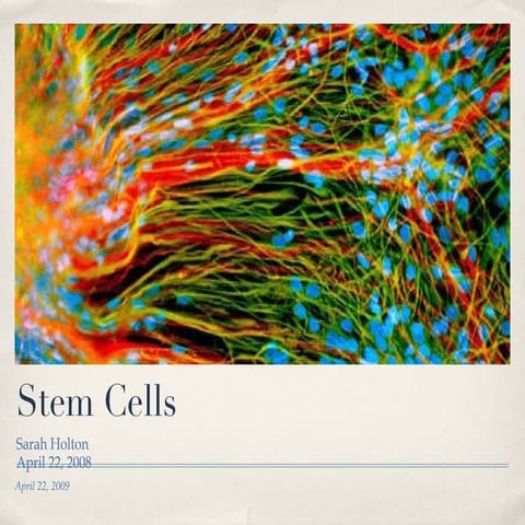 S CdiferenciacióNpormatriz