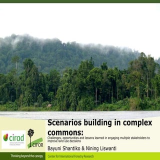 Scenarios building in complex commons