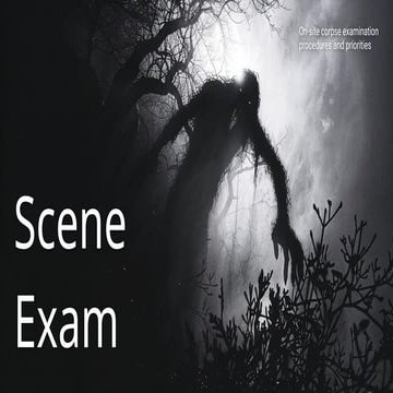Scene Exam.pptx download English now free | PPTX
