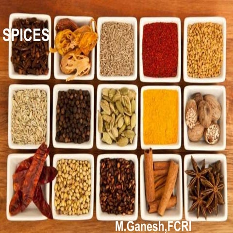 Scenario of spices in india