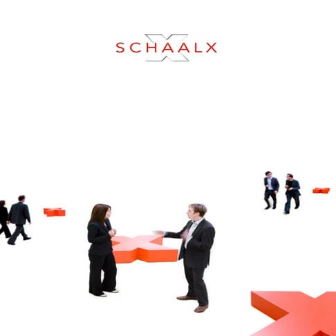 SchaalX Korte Presentatie