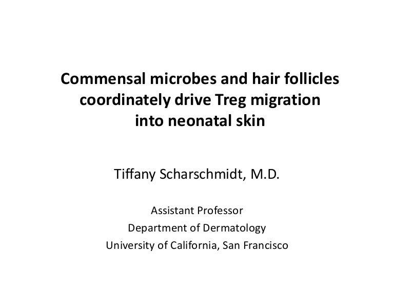 Commensal Microbes And Hair Follicle Morphogenesis Coordinately Drive
