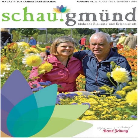 schau.gmuend Nr.18