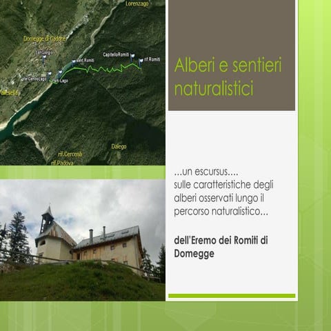 Schede alberi sentiero