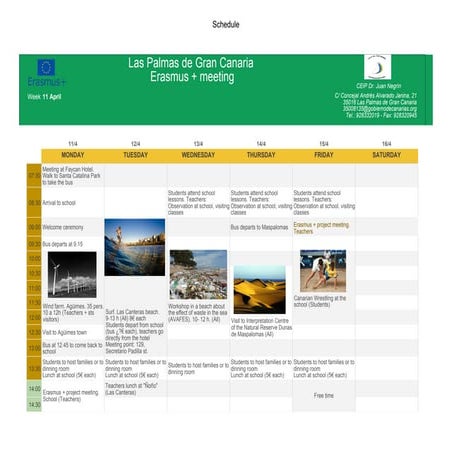 Picture of Daily schedule | PDF