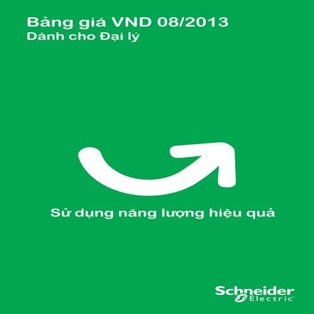 Scheider gia dụng và công ngiệp 01.08.2013