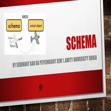 Schema and neural networks 