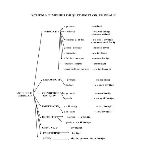 Schema  - verb (moduri și timpuri verbale)