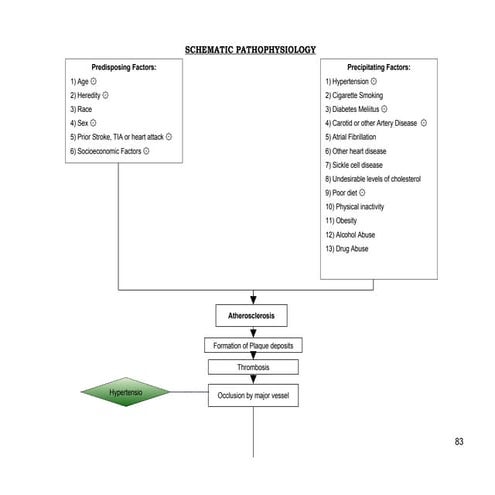 Schematic Pathophysiology Cva