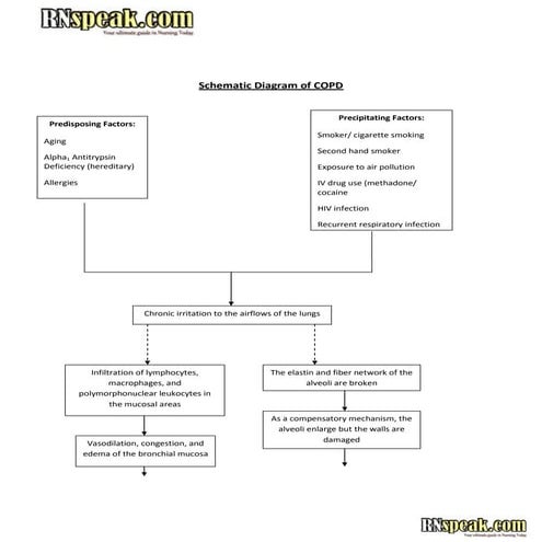 Schematic diagram of copd
