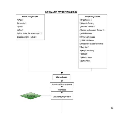 Schematic Pathophysiology Cva 1233470514641540 2