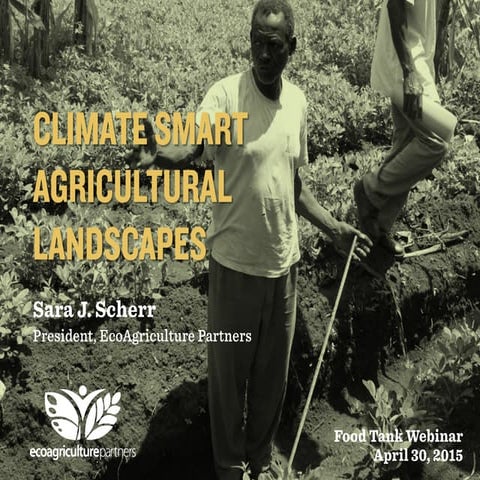 Climate Smart Agricultural Landscapes