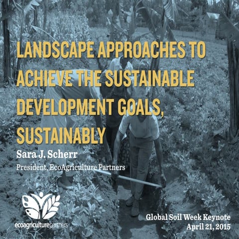 Landscape Approaches to Achieve the Sustainable Development Goals, Sustainably