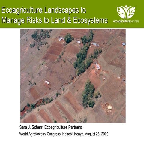Ecoagriculture Landscapes to  Manage Risks to Land & Ecosystems