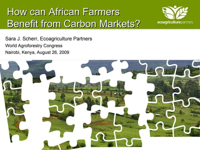 Sara Scherr - How can African Farmers Benefit from Carbon Markets? - Aug 2009