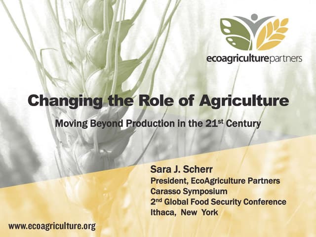 Changing the Role of Agriculture: Moving Beyond Production in the 21st Century