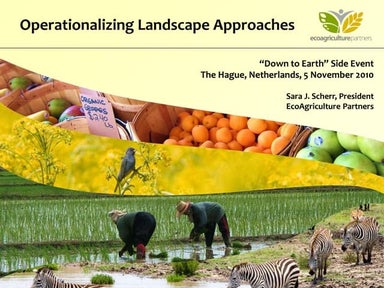 Operationalizing Landscape Approaches