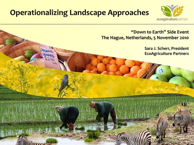 Operationalizing Landscape Approaches