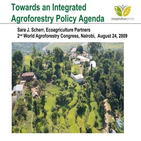 Towards an Integrated Agroforestry Policy Agenda