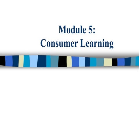 Consumer Behavior chapter 03 Learning and Memory theories Moghimi | PDF