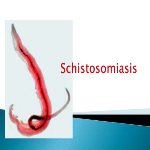 Schistosomiasis