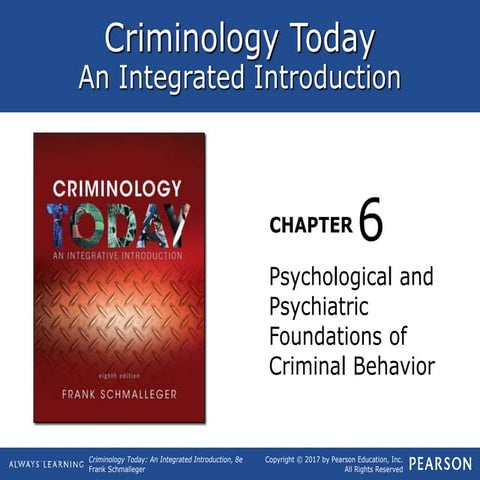 Schmall crim today8e_ppt_ch6