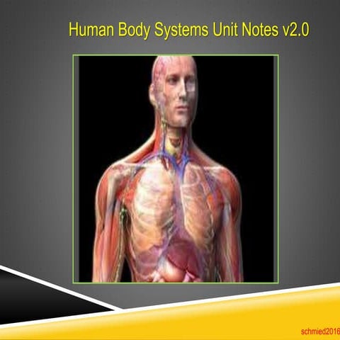 Earth the Water Planet - A Global Overview