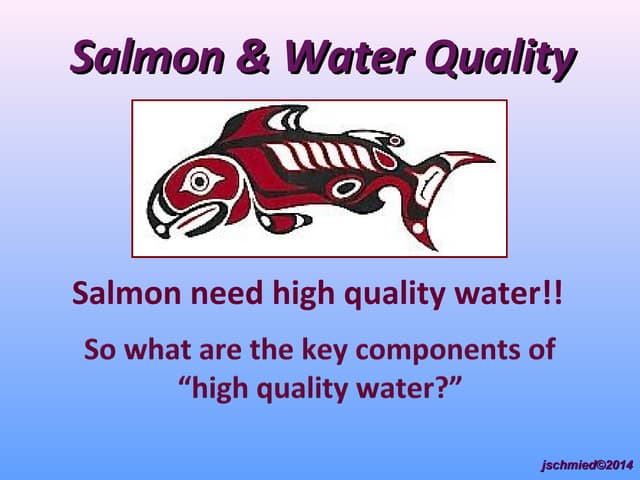 Schmied Salmon and Water Quality