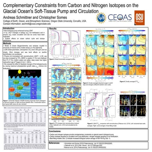 Complementary Constraints from Carbon and Nitrogen Isotopes on the Glacial Oc...