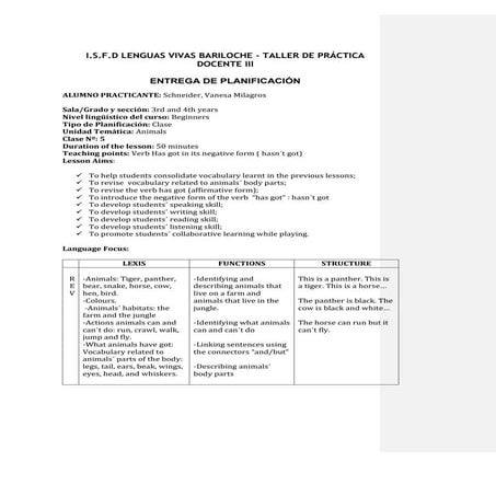 Schneider vanesa practicadocenteii_lesson 5 - passed