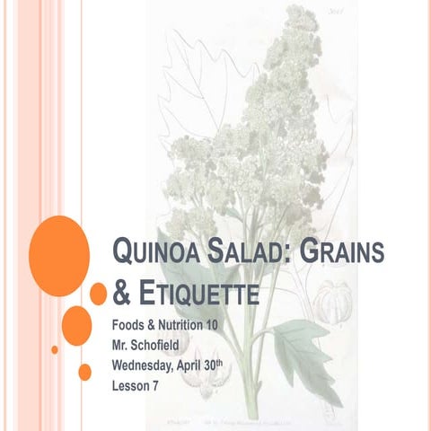 Quinoa Salad & Whole Grains