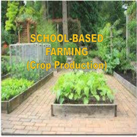 SCHOOL-BASED FARMING.pptx