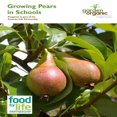 Pears Gardening Guides for Teachers