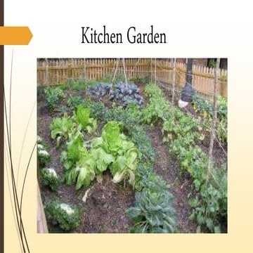 Kitchen Gardening