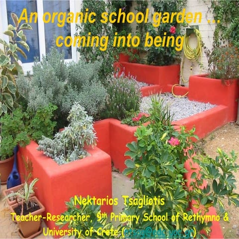 School garden development