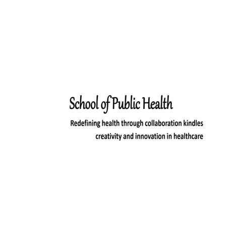 Study Master of Public Health in UK ISMS Global | PDF