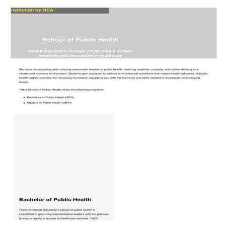 Study Master of Public Health in UK ISMS Global | PDF