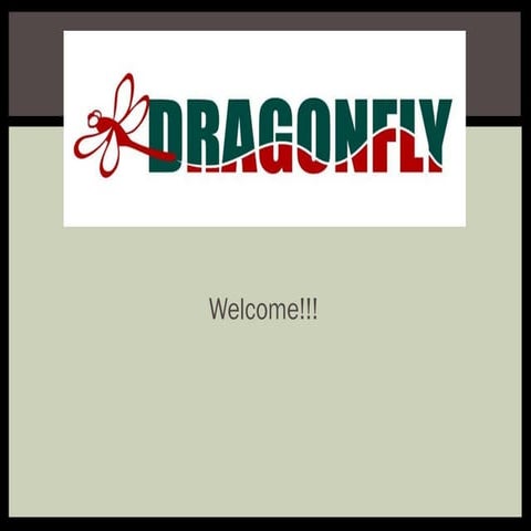 Grade 6 Trip - Dragonfly Presentation