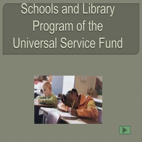 Schools and library program