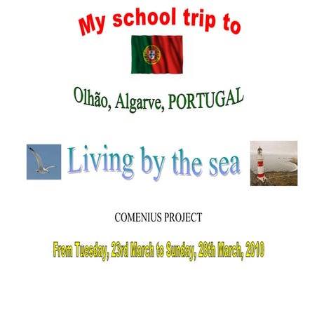 School trip olhao