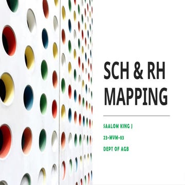 SCH & RH MAPPING Animal genetics mapping.pptx