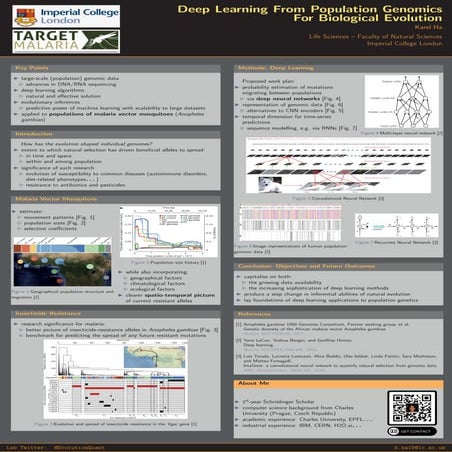 Schrodinger poster 2020