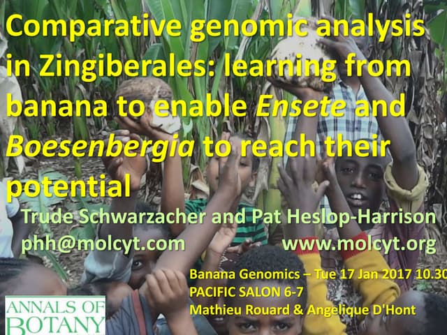 Banana, Ensete and Boesenbergia Genomics - Schwarzacher, Heslop-Harrison, Harikrishna